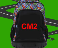 L’année de CM2 : dernière ligne droite avant le grand saut