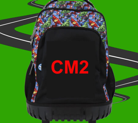 L’année de CM2 : dernière ligne droite avant le grand saut